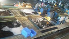 フグや色々な魚が泳いでます