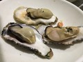 出来上がり、カニの赤ちゃんまで、、